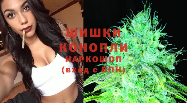 дурь Богданович