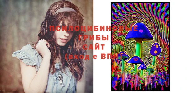 2c-b Лабытнанги